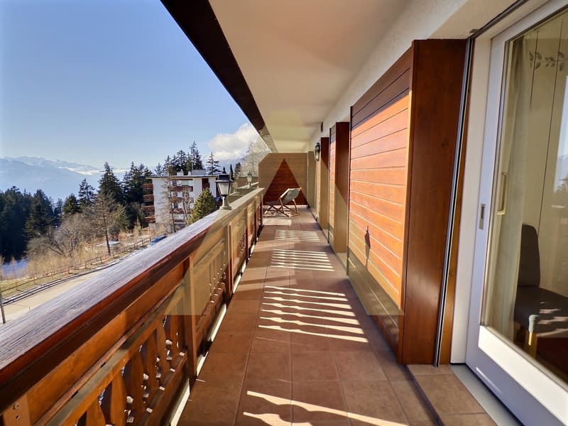 Appartamento arredato di 3,5 locali, luminoso con ampio balcone e accesso spa (4)