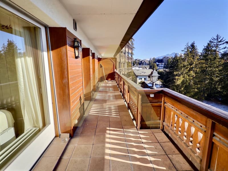 Appartamento arredato di 3,5 locali, luminoso con ampio balcone e accesso spa (5)