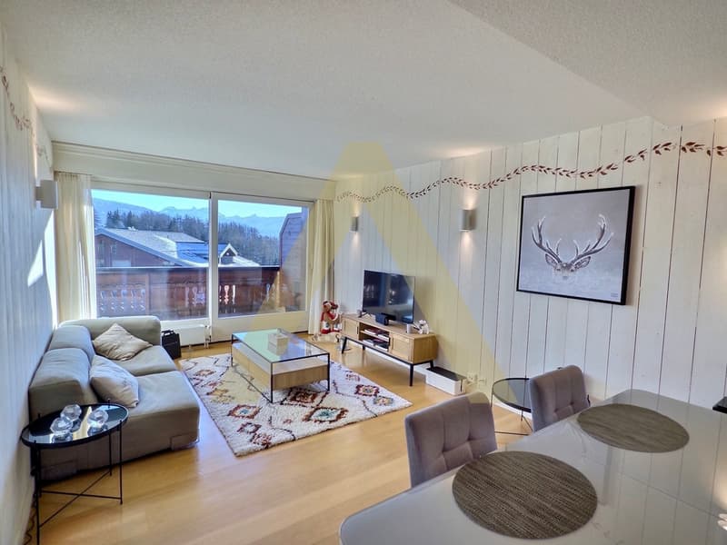 Appartamento arredato di 3,5 locali, luminoso con ampio balcone e accesso spa (6)