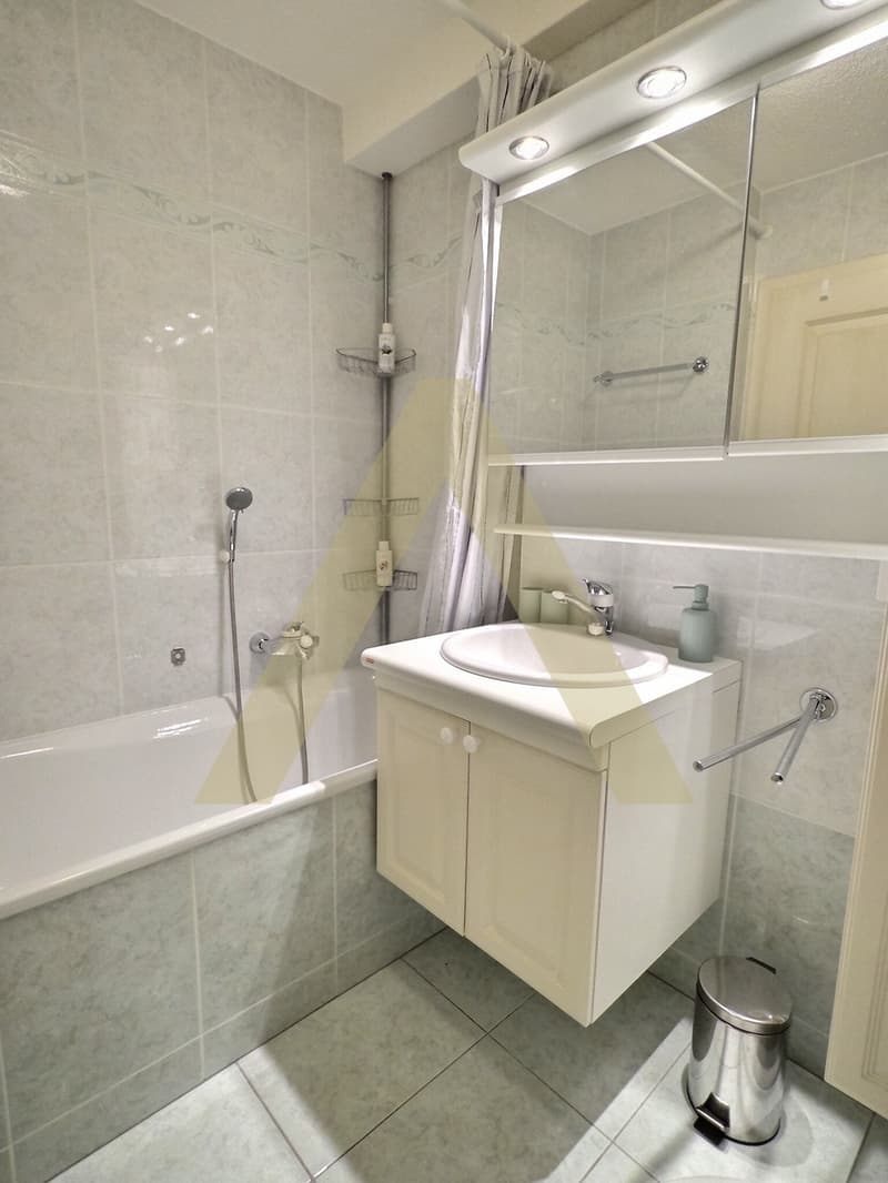 Appartamento arredato di 3,5 locali, luminoso con ampio balcone e accesso spa (12)