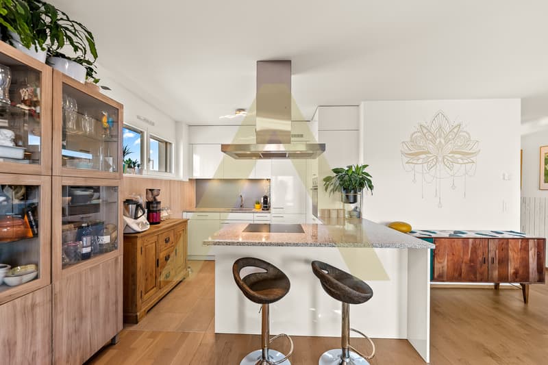 Confortable et contemporain appartement proche du lac (3)