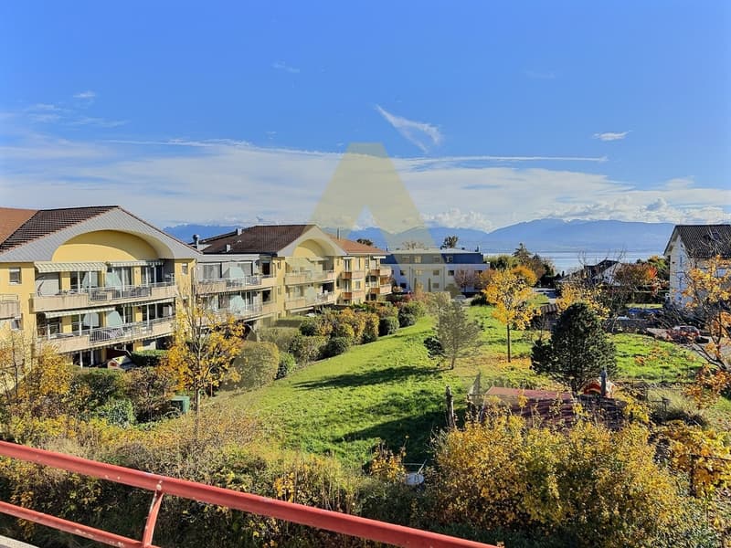 Accueillant duplex avec vue lac (7)