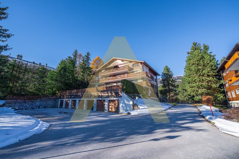 Magnifique appartement entièrement rénové à Crans-Montana (3)