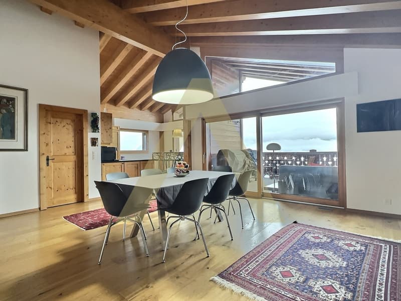 Très lumineux appartement en attique avec beaucoup de cachet (3)