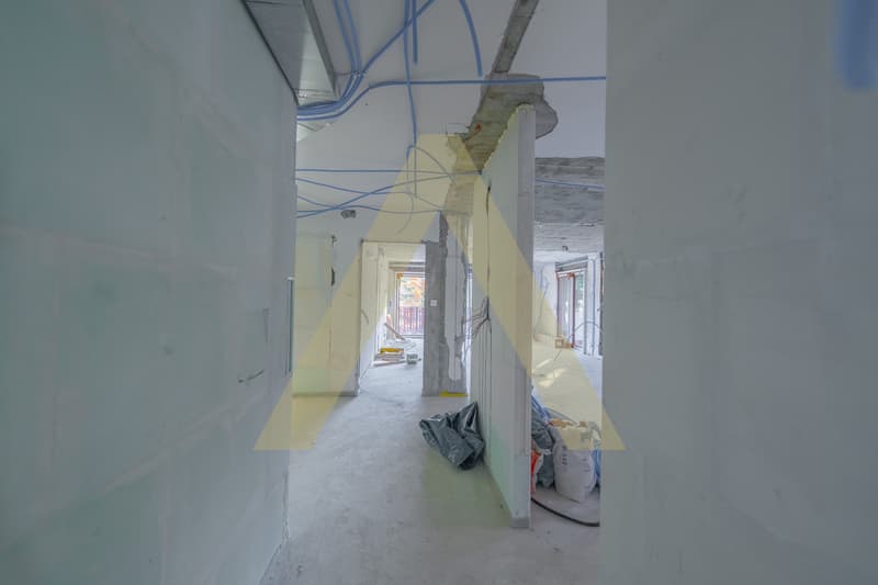 Splendide appartement entièrement rénové (5)