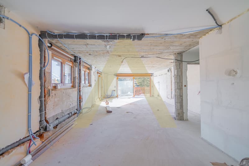 Splendide appartement entièrement rénové (6)
