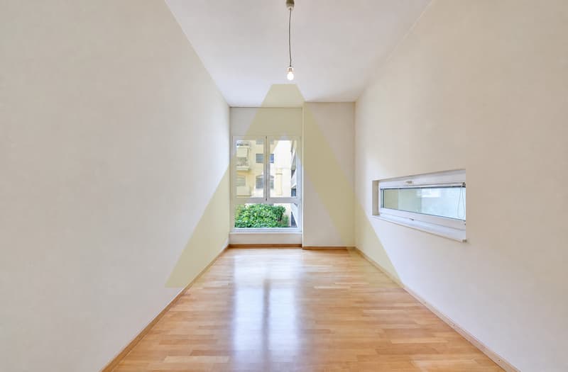 Duplex type loft avec grande terrasse et proche du lac (3)