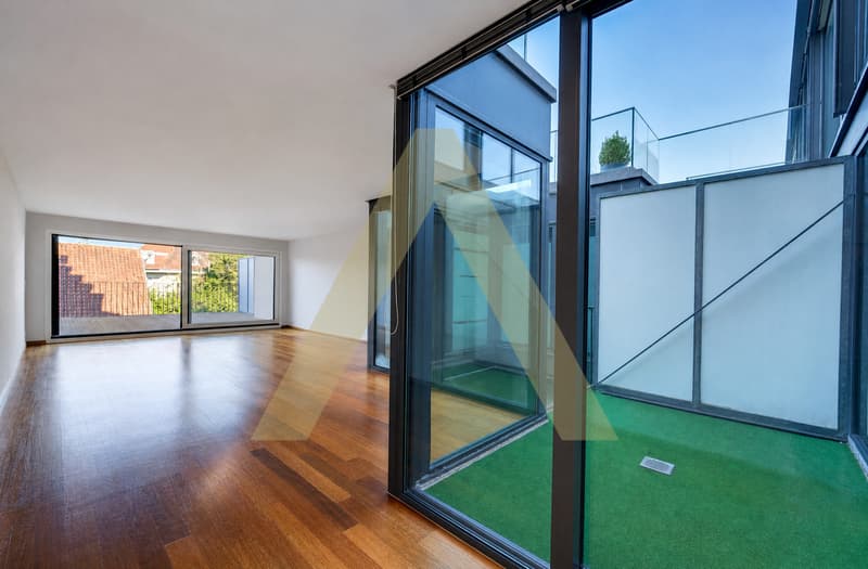 Duplex type loft avec grande terrasse et proche du lac (5)