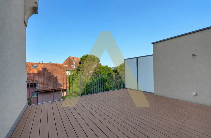 Duplex type loft avec grande terrasse et proche du lac (8)