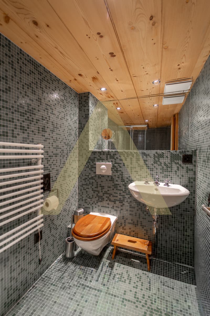 Exceptional property at the foot of the Portes du Soleil (13)