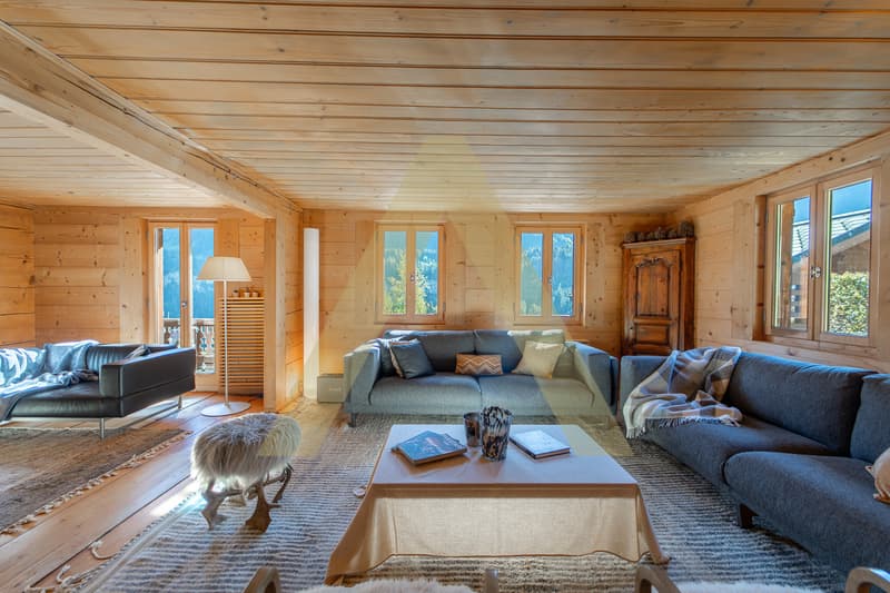 Exceptional property at the foot of the Portes du Soleil (3)