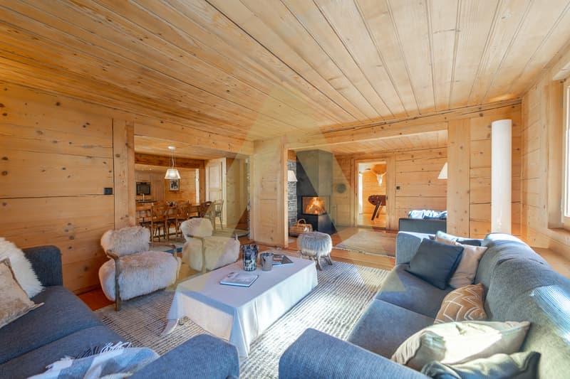 Exceptional property at the foot of the Portes du Soleil (4)