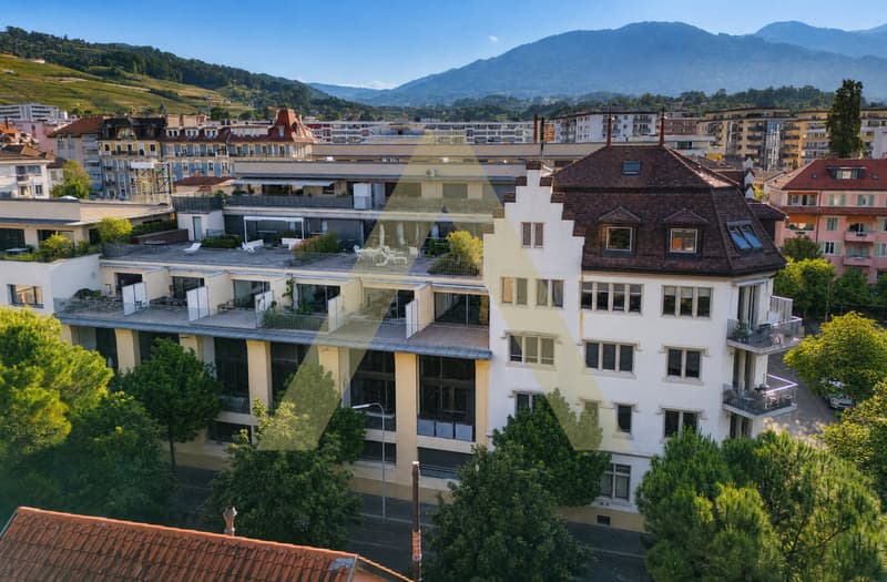 Duplex type loft avec grande terrasse et proche du lac (2)