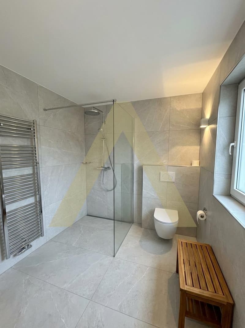 Appartement totalement rénové avec joli jardin (7)