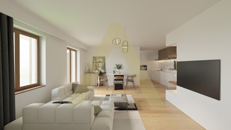 Appartement totalement rénové avec joli jardin (3)