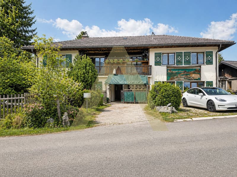 Opportunité Rare au Brassus - Terrain Constructible à Haut Potentiel (4)