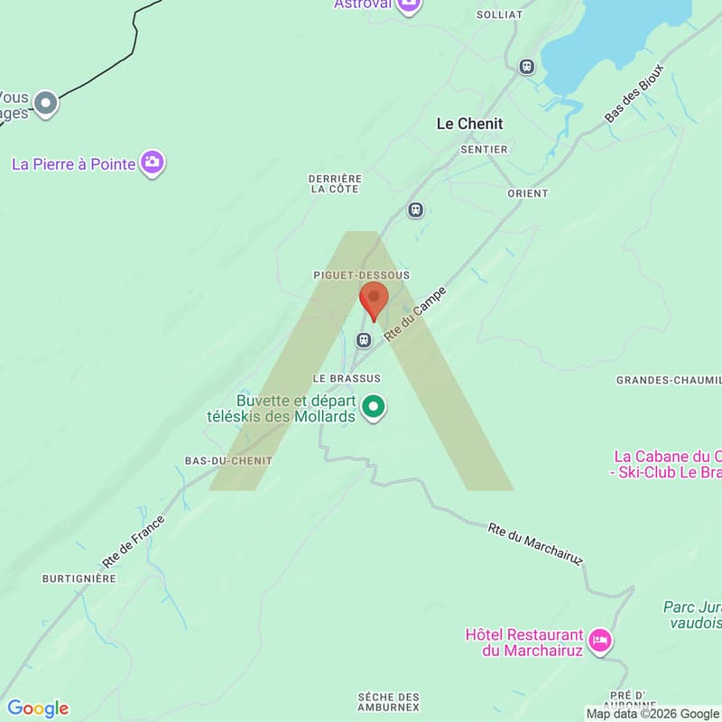 Opportunité Rare au Brassus - Terrain Constructible à Haut Potentiel (5)