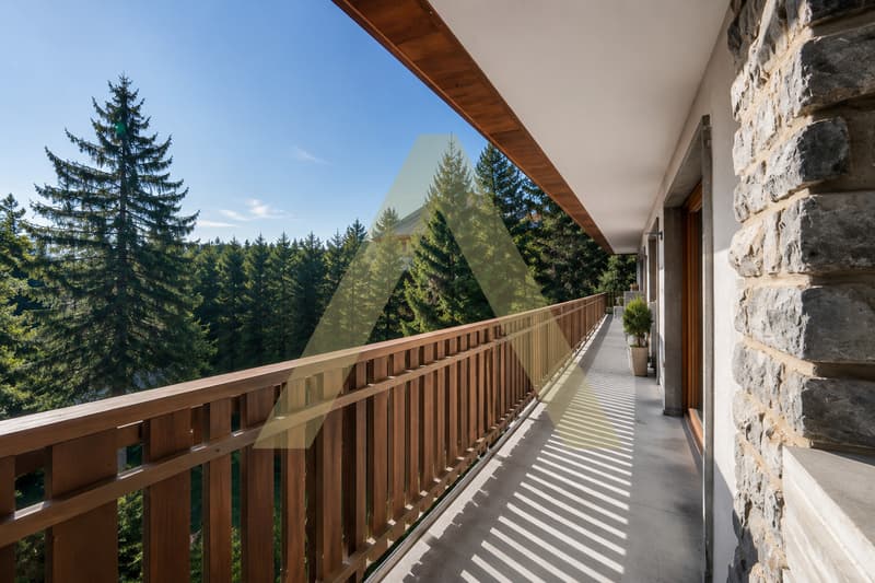 Magnifique appartement entièrement rénové (2)