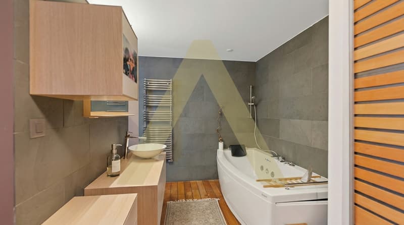 Spacieux et lumineux appartement en plein centre (5)