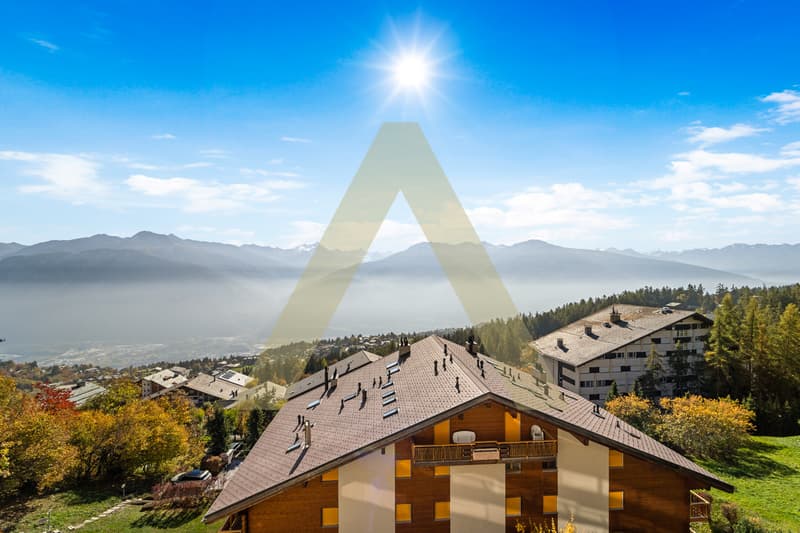 Très bel appartement avec vue imprenable (4)
