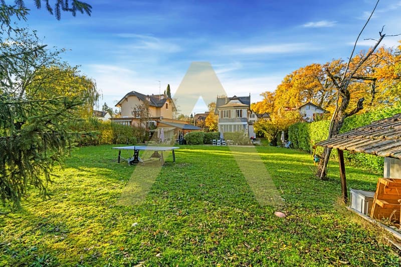 Villa face au Salève avec grand potentiel (2)