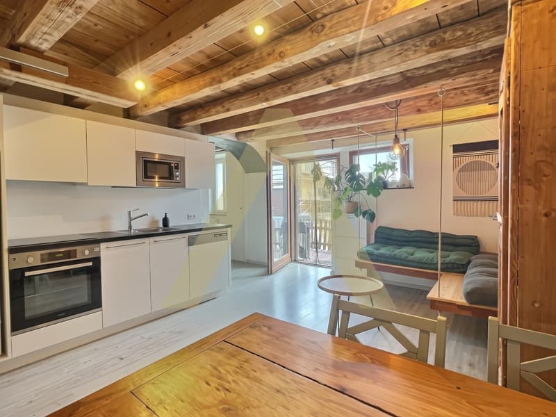 Appartement de charme avec jardin (2)