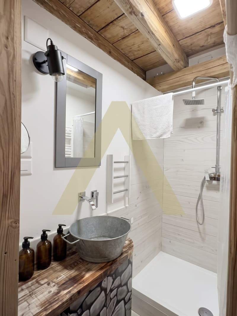 Appartement de charme avec jardin (7)