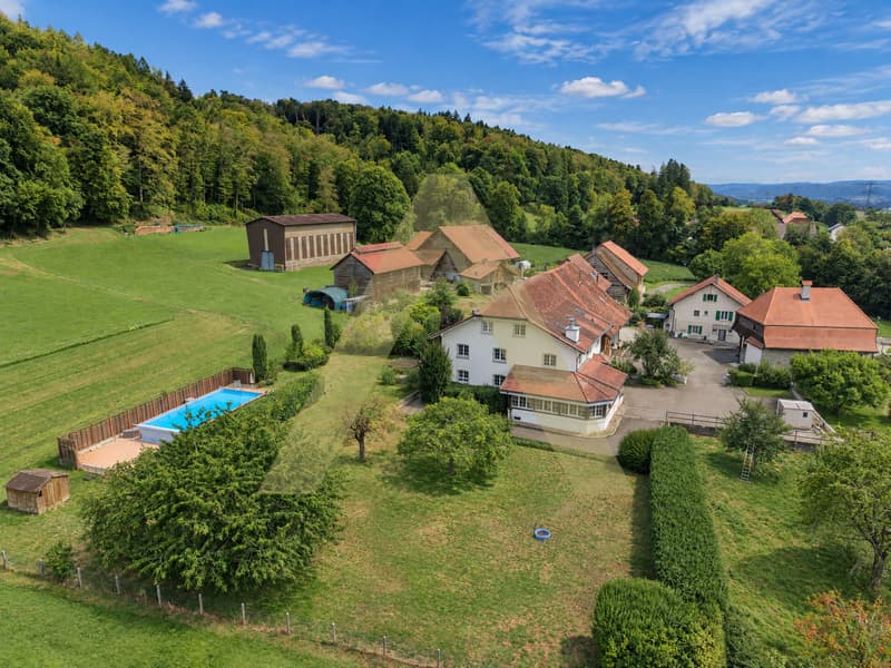 Une maison pour ceux qui voient plus grand que les murs (1)