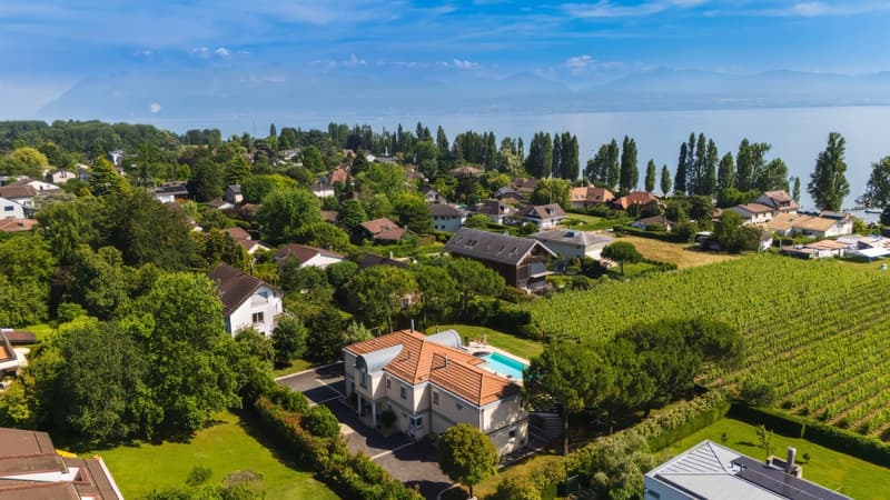 Somptueuse maison avec vue lac et piscine (1)
