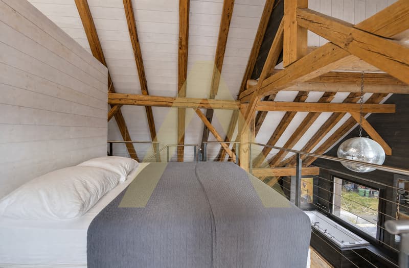 Un duplex aux airs de loft (3)