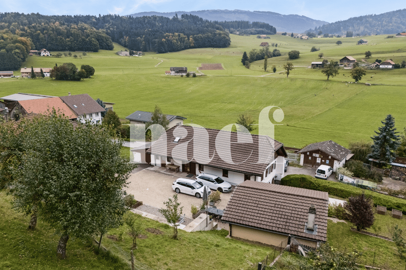 Schönes renoviertes Bauernhaus mit 5.5 Zimmern zum Verkauf in Senèdes (1)