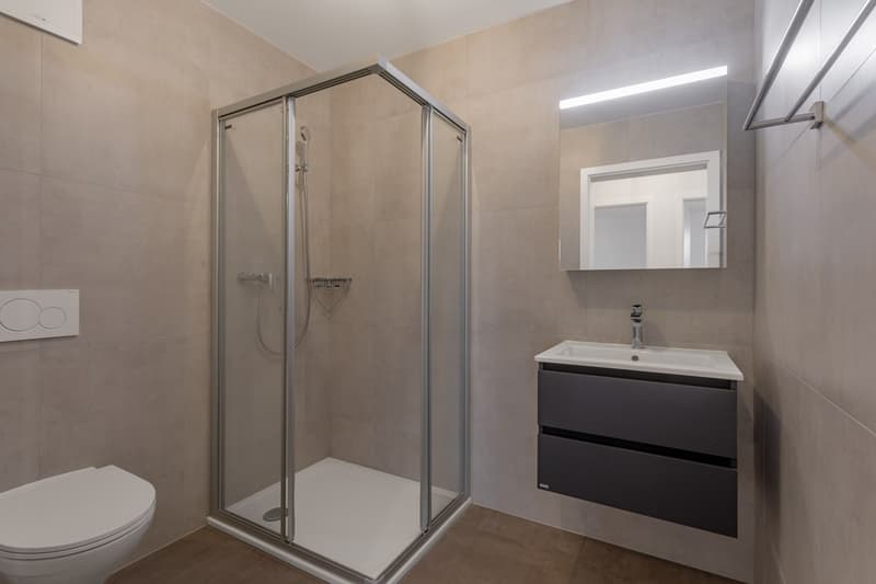 Appartamento nuovo di 4.5 locali con balcone al piano terra in vendita a St-Aubin (3)