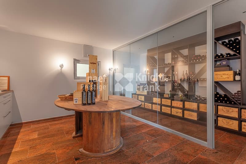 Magnifica proprietà individuale di 6 locali con vista mozzafiato sul lago di Morat in vendita a Bellerive (9)