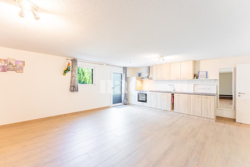 Bright 5.5-room family villa with independent studio and spa (11)