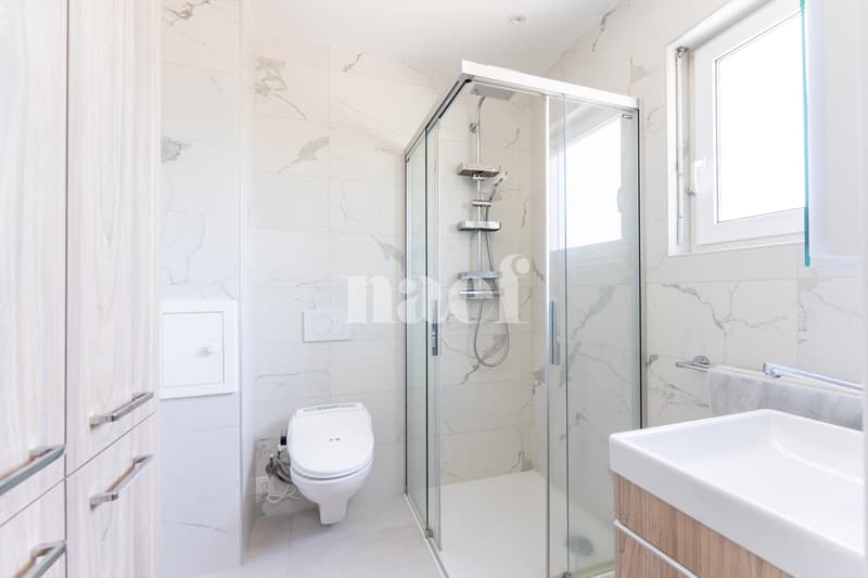 Bright 5.5-room family villa with independent studio and spa (5)