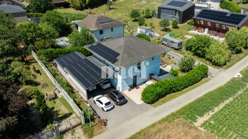 Bright 5.5-room family villa with independent studio and spa (1)