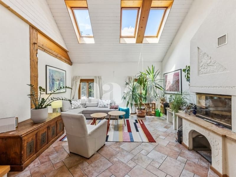 Maison jumelée de 6.5 pièces avec jardin à vendre à Sorens (7)