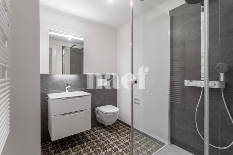 NEW - 2.5-room apartment with charm for rent in Avenches! (5)