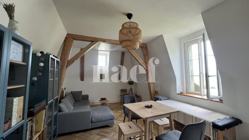 Meraviglioso appartamento di 4.5 locali a Villars-sur-Glâne! (3)