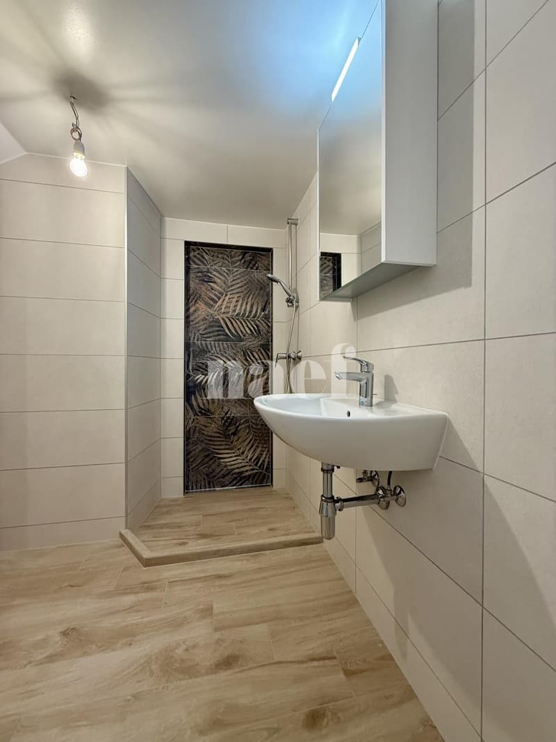 Wunderschönes 1.5-Zimmer-Apartment zur Miete! (5)