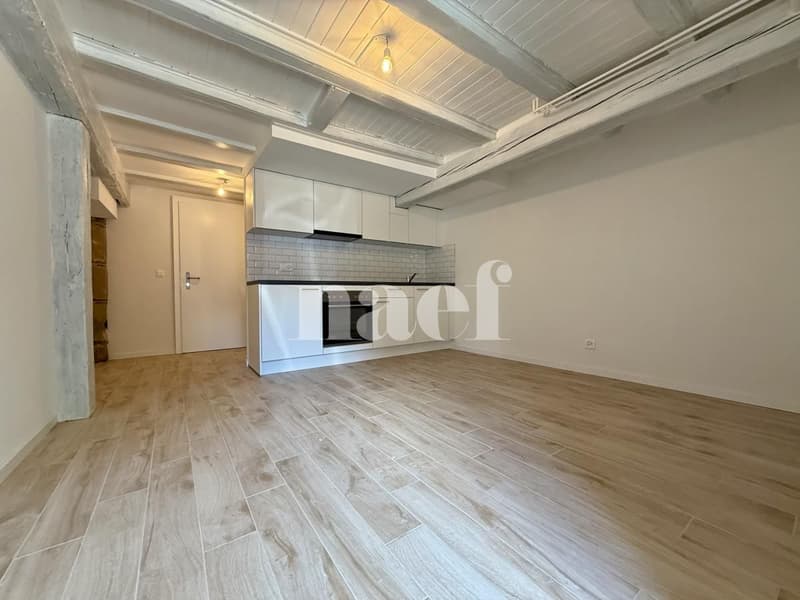 Wunderschönes 1.5-Zimmer-Apartment zur Miete! (2)