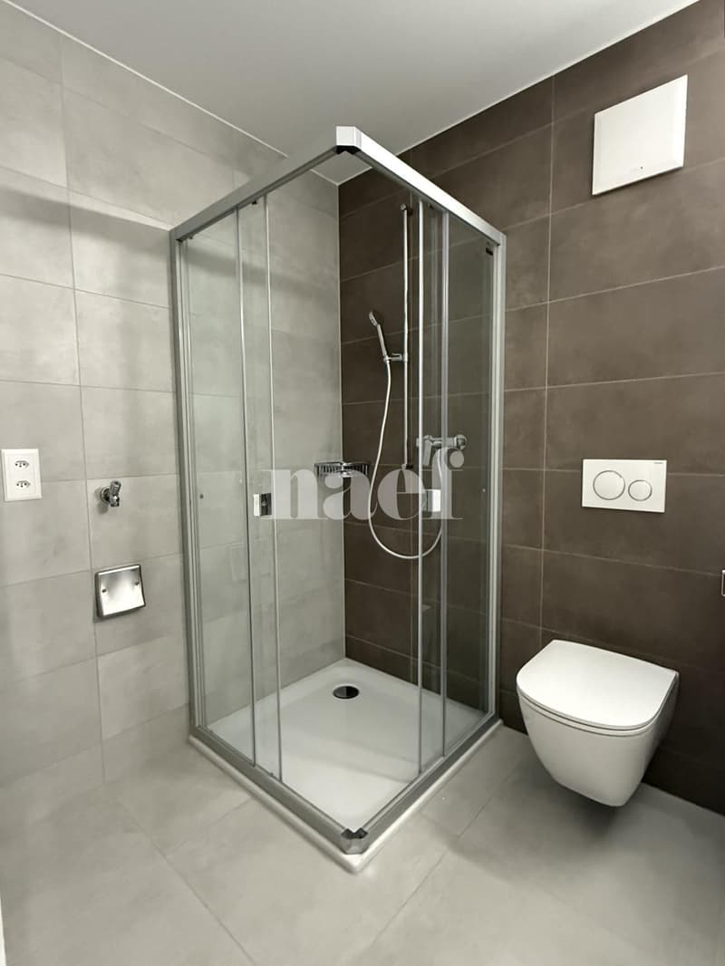 Bello appartamento di 3.5 locali al pianterreno a Billens! (5)