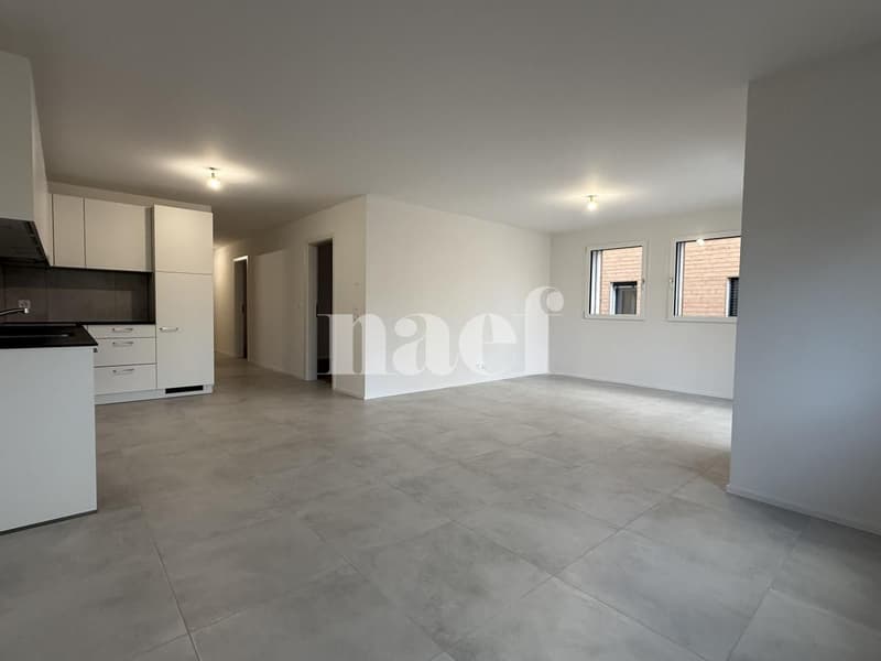 Bello appartamento di 3.5 locali al pianterreno a Billens! (3)