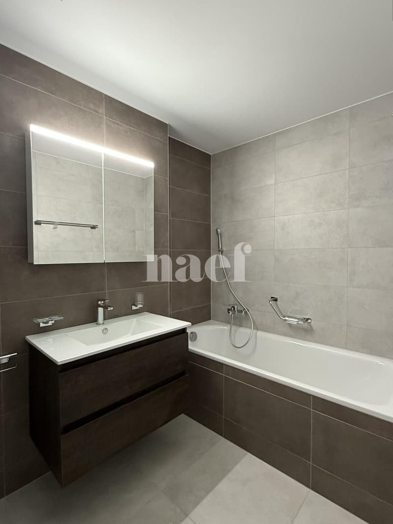 Bello appartamento di 3.5 locali al pianterreno a Billens! (4)