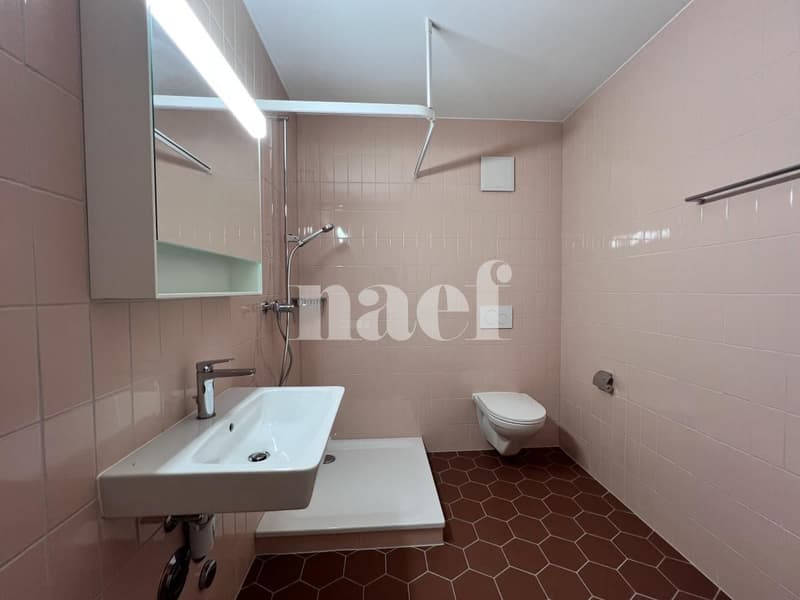 NUOVO - Magnifico appartamento di 2.5 locali al 2° piano a Friburgo! (6)