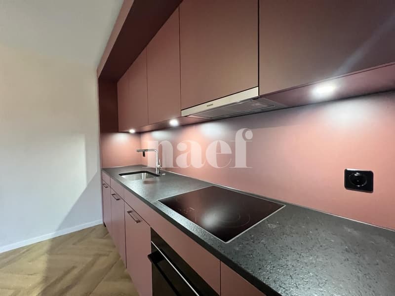 NUOVO - Magnifico appartamento di 2.5 locali al 2° piano a Friburgo! (2)