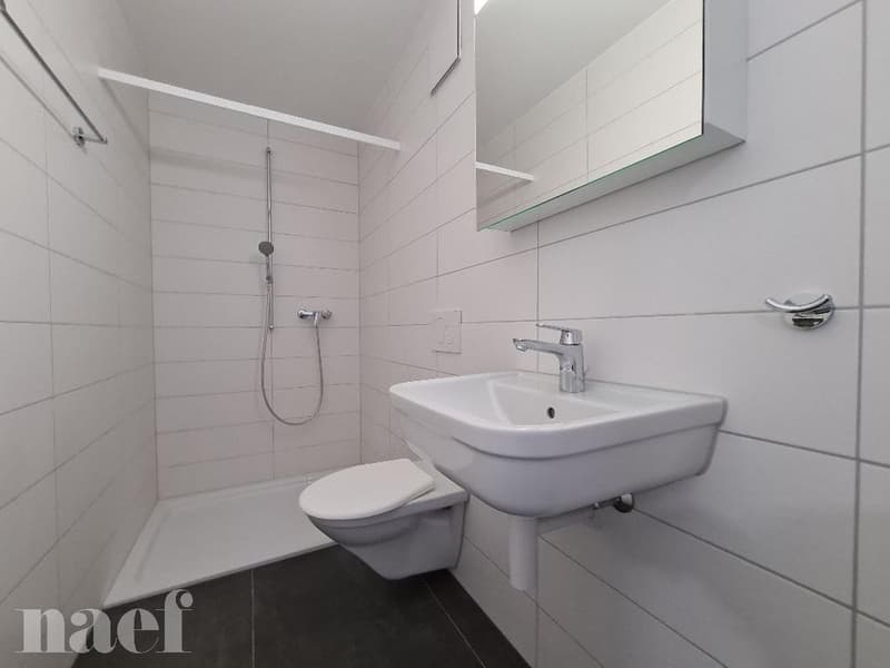 Schönes 4.5-Zimmer-Apartment zur Miete in Dompierre! (8)