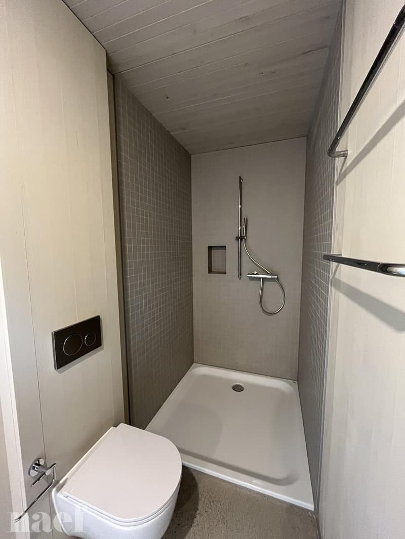 Bel appartement de 3.5 pièces en triplex avec jardin à Corminboeuf ! (6)