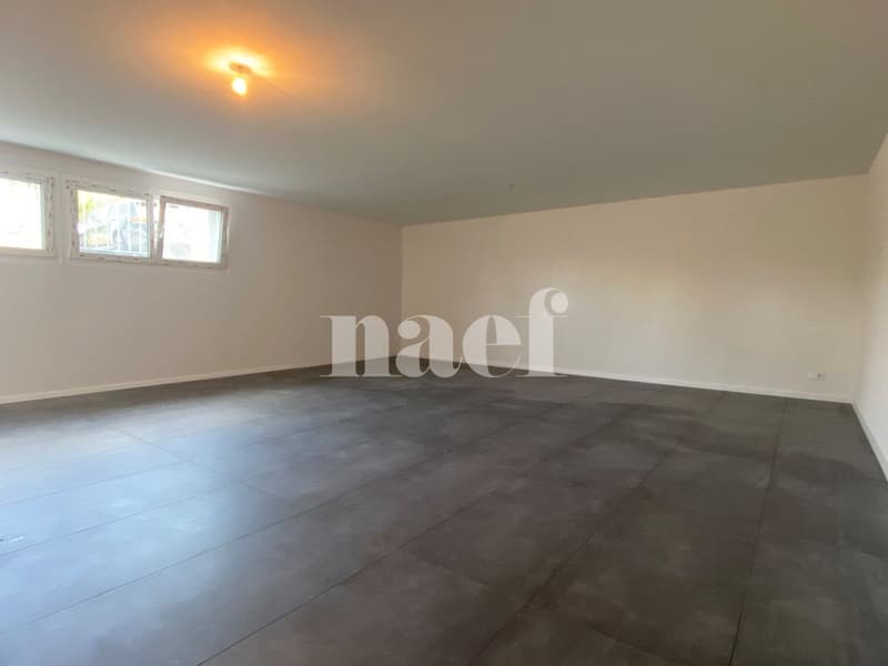 Dépôt, 1er sous-sol, 61m2, avec salle de douche à Dompierre ! (2)