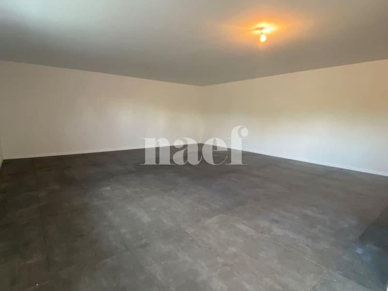 Dépôt, 1er sous-sol, 61m2, avec salle de douche à Dompierre ! (3)